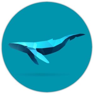 Expression Whale