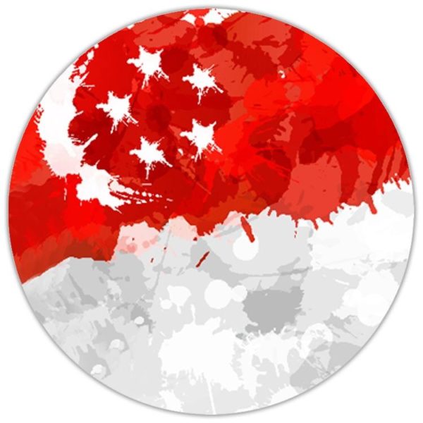 Singapore Expression Flag